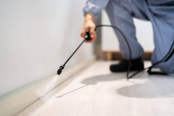 Bed Bug Pre-Treatment Preparation Assessment in Coquille