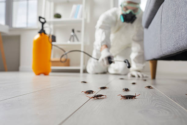 Post-Treatment Bed Bug Interceptor Monitoring in Coquille